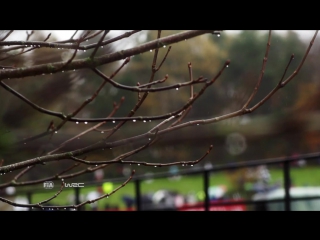 Wrc dayinsure wales rally gb 2016 preview