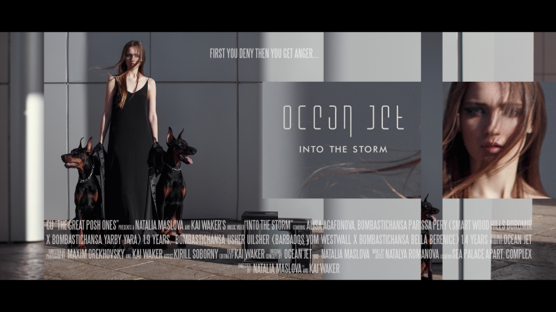 Ocean jet into the storm [official music video]