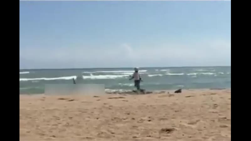 Все побежали и я побежал