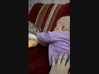 Vid 20171113 102359 mp4