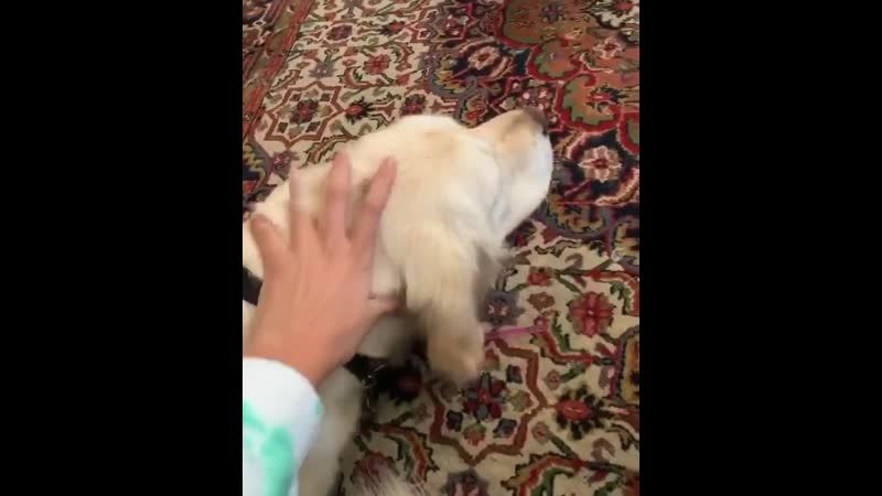 Занял коробочку