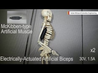 This synthetic soft muscle brings us one step closer to lifelike robots