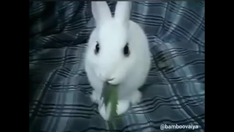 Как развить в себе сверхспособности?