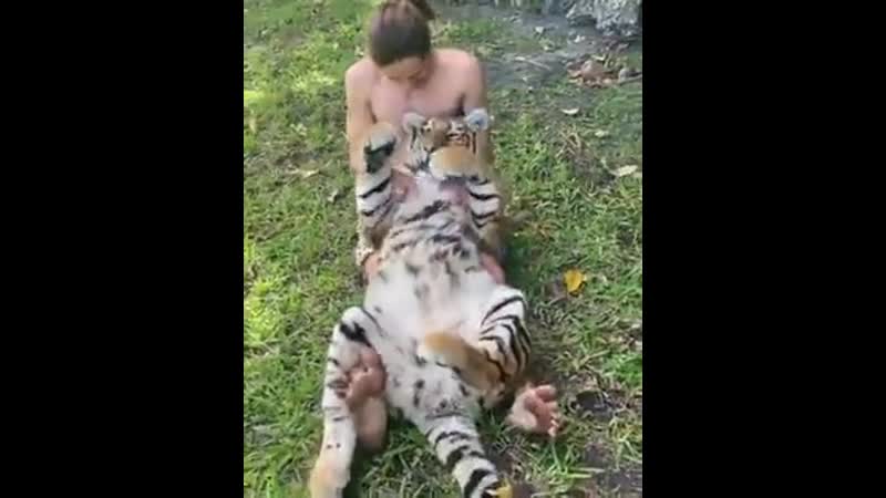 Big kitty lоvеs bеlly rubs