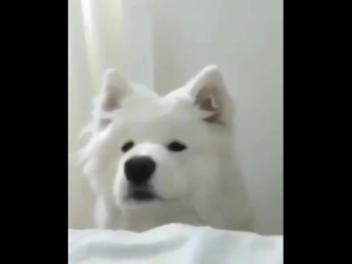 Fren wake up