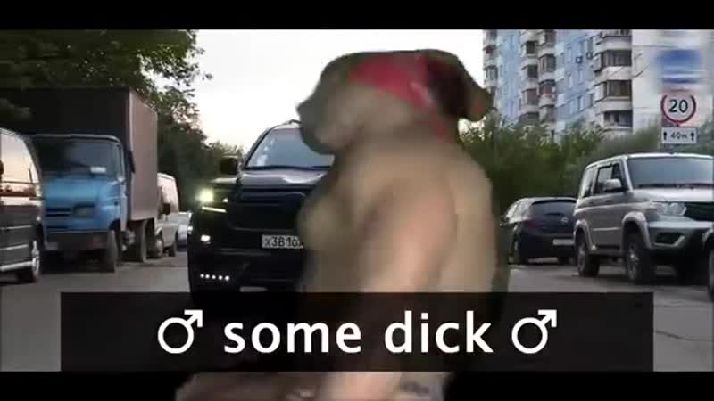 Нурминский флекс с рикардо милосом