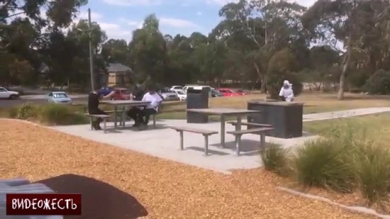 Пранкеры совсем границ не видят © видеожесть