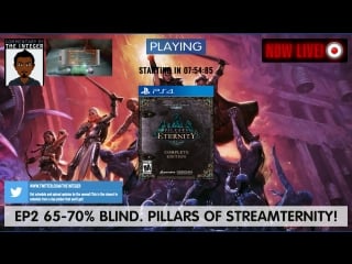 Because every game needs bear companions! let's play pillars of eternity [tips on request only thanks much] [65 70% blind] ep