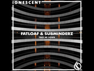 Fatloaf & subminderz take me down [ignt024 preview]