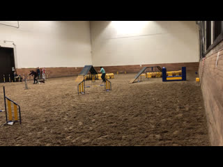 Майо, тренироа аджилити 20 02 2021