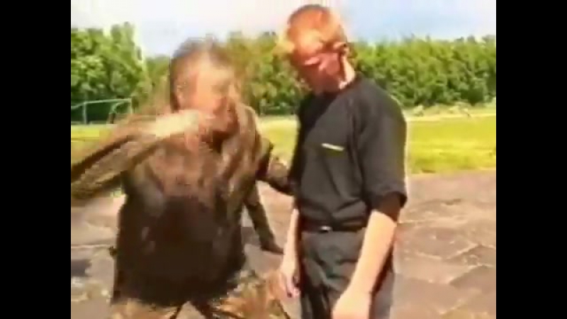 Обучалка туд