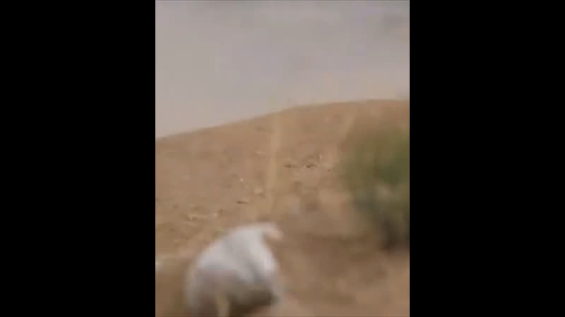 Ararat 94 im artsakh (2021)