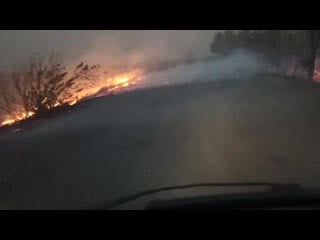 Gorit pole mezhdu krinkoy i komunarom 720p 1 mp4