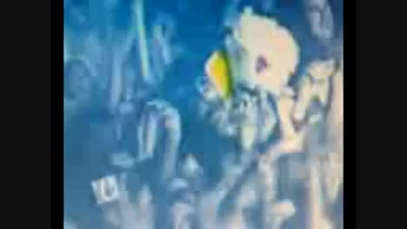 Ками бенха и фелипе