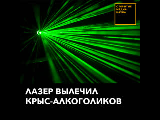 Лазер вылечил крыс алкоголиков