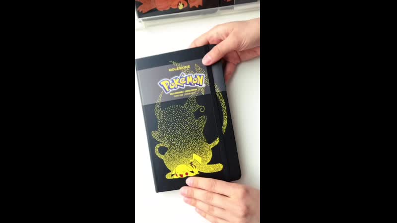Заглядываем в moleskine «pokemon» large