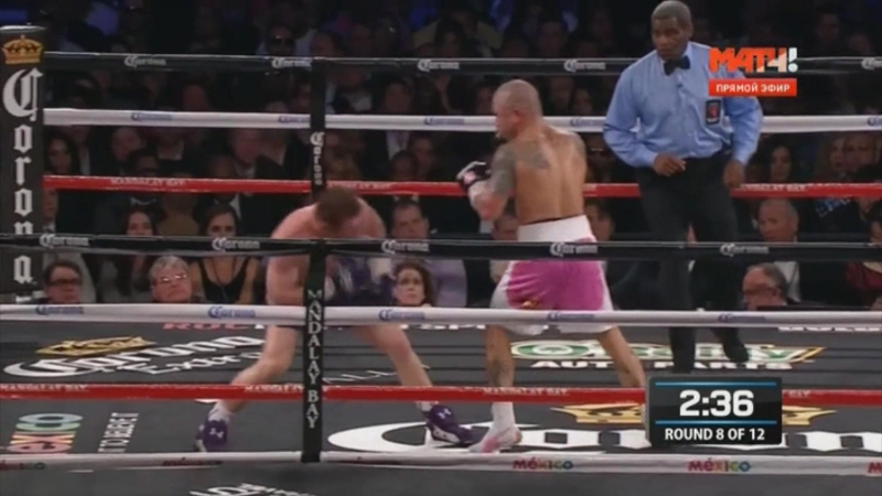 Мигель котто – сауль альварес (highlights)