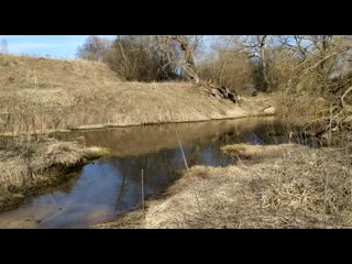 Тингер пересекает небольшую речку