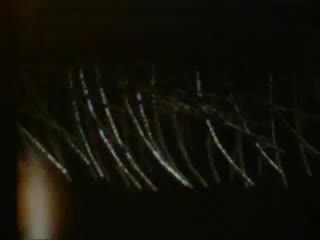 Train de noel offert par tagtah