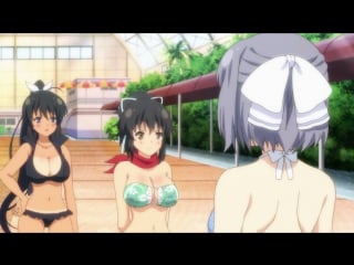 [anipain] senran kagura estival versus / ниндзя бунтарки махыч под рождество [anidub]