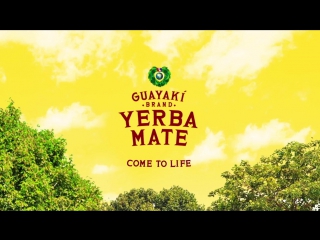 Yerba mate come to life with guayaki