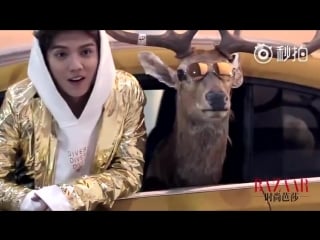 [video] 160721 luhan @ harpers bazaar photoshoot behind the scenes
