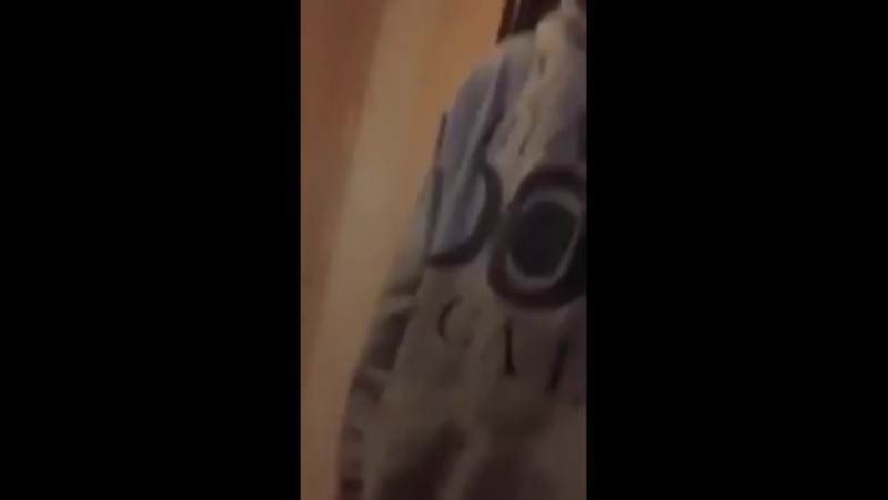 Сынок который накурился со своими друзьями к приходу своей мамы