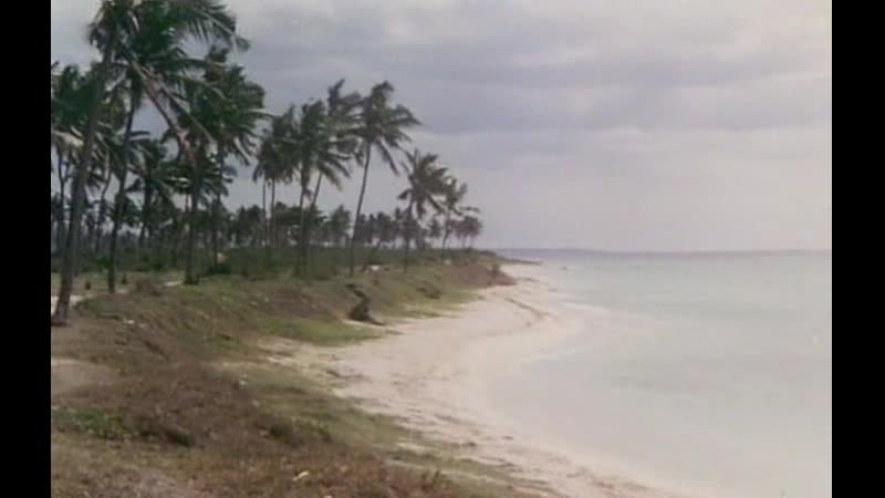 1000 удовольствий. Остров тысячи наслаждений 1978. Остров 1000 удовольствий. Остров удовольствий (2002).