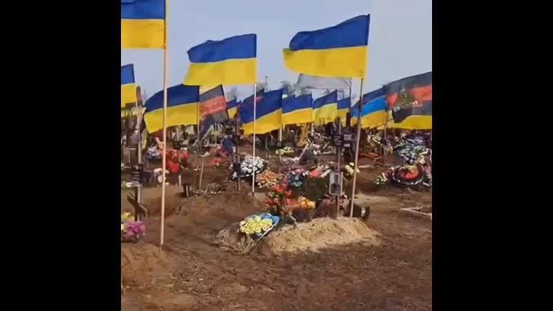 Скажите, а сколько сегодня дней с начала сво? триста! тридцать! три!