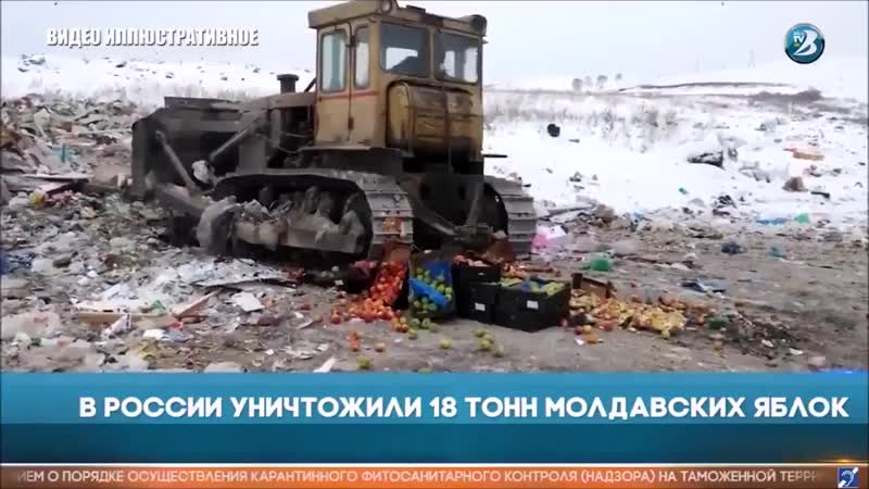 Гуляй басота!!!