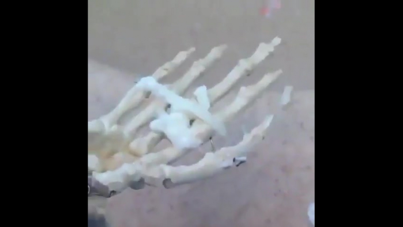 Sexe skeletons (vhs video)