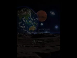 Чтец omar al darweez surat « 41 fussilat »