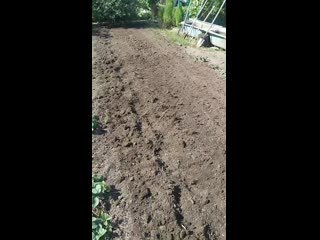 Vid 20200902 142329 mp4