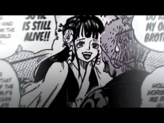 ` one piece vine / edit ☠ roronoa zoro & hozuki hiyori