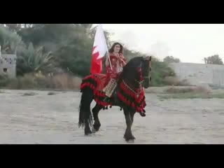 Friesian royal 20200123 075938 0 mp4