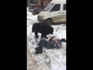 Видео от треш у олежки