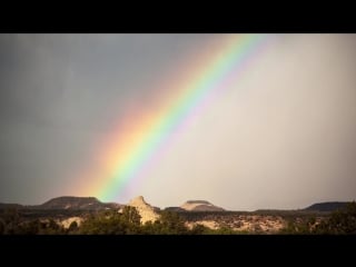 Natures cathedral part 1 in world hd on vimeo