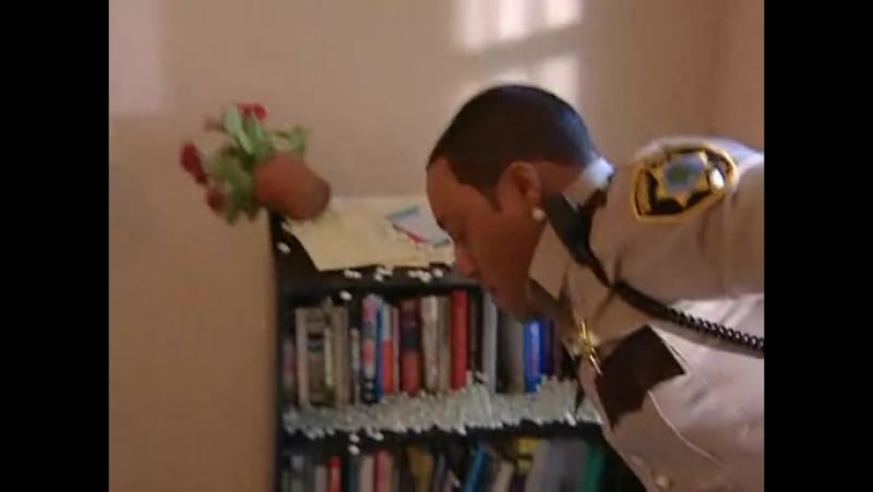 Поимка молодые