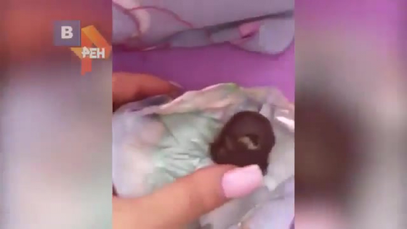 В самаре детям раздали подарки с червями