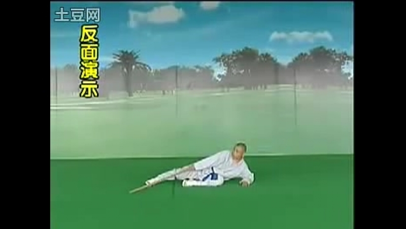 Shaolin porn video – Shaolin kung fu drunken staff