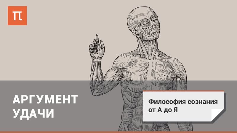 Философия сознания аргумент удачи