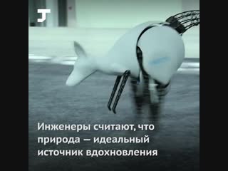 Компания festo вдохновляется природой, создавая роботов