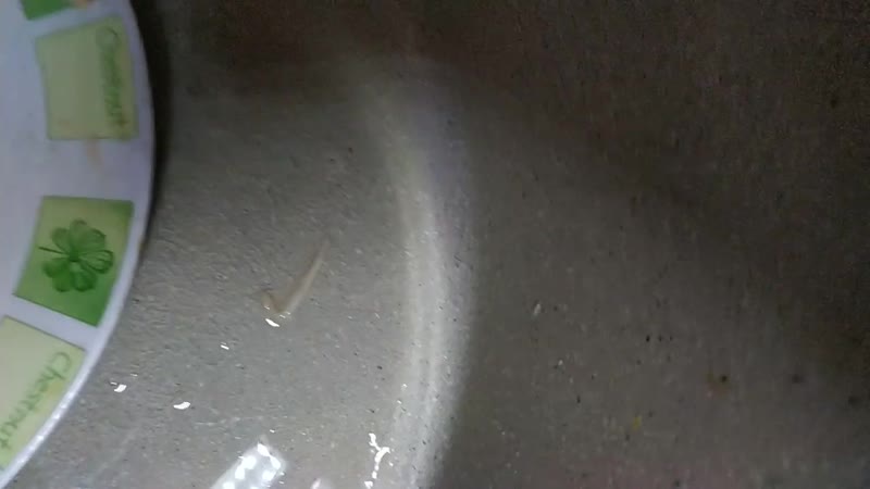 Неведомая хрень в пиве из магазина литра