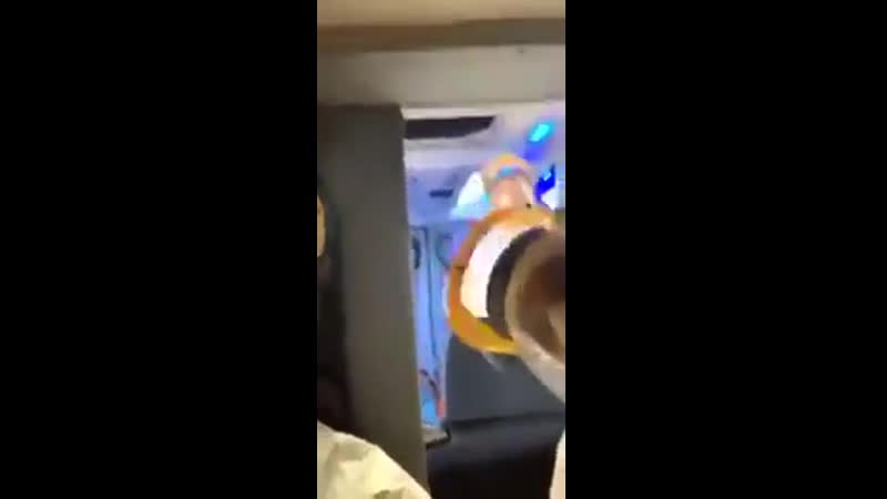 Поляки развлекаются