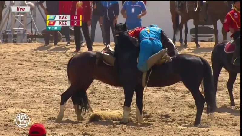 Кыргыздар кок бору падышасы экенин далилдеди кыргызстан казахстан обзор игры