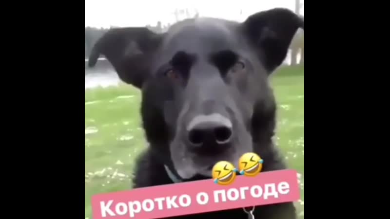 Погодка porn video – Ну и погодка