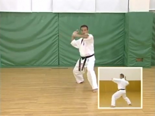 Kyokushin encyclopedia [kata]