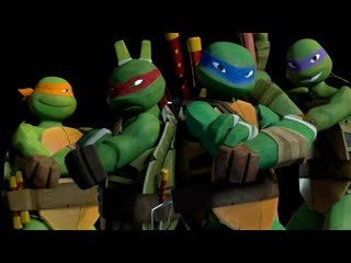 Teenage mutant ninja turtles