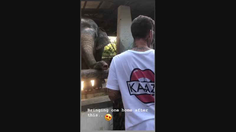 Kaaze stories