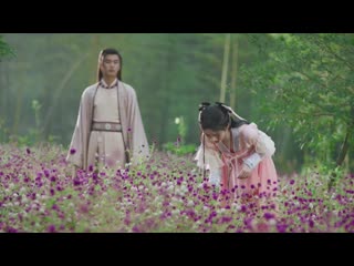 Ju jingyi (kiku 鞠婧祎) henry huo zun (霍尊) – dreams crossing (梦渡) [the blooms at